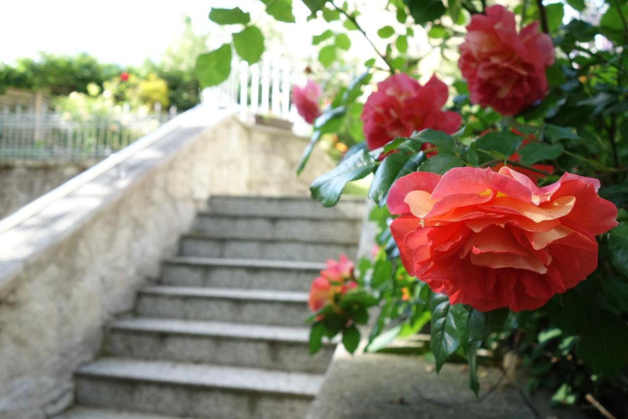Villa Sonnenstrahl Marianske Lazne Luaran gambar