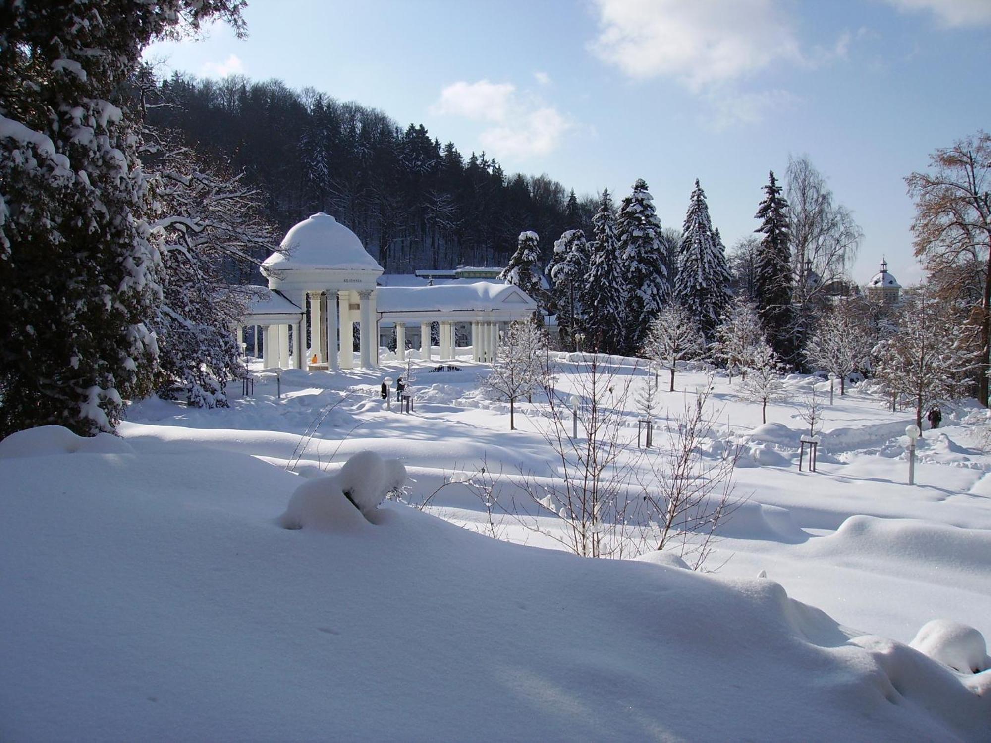 Villa Sonnenstrahl Marianske Lazne Luaran gambar